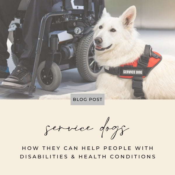 how service dogs can help people with disabilities and health conditions