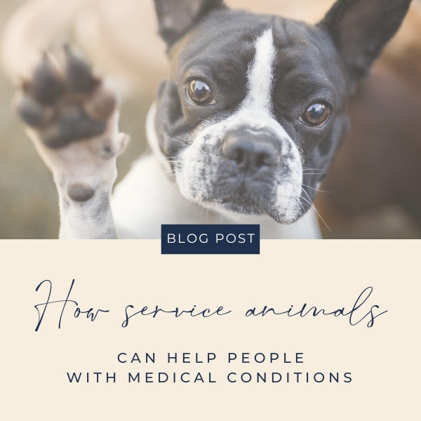 how service animals medic conditions