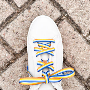 aroace shoelaces aroace flag laces