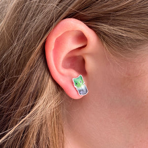 lgbt cat earrings aromantic aro pride