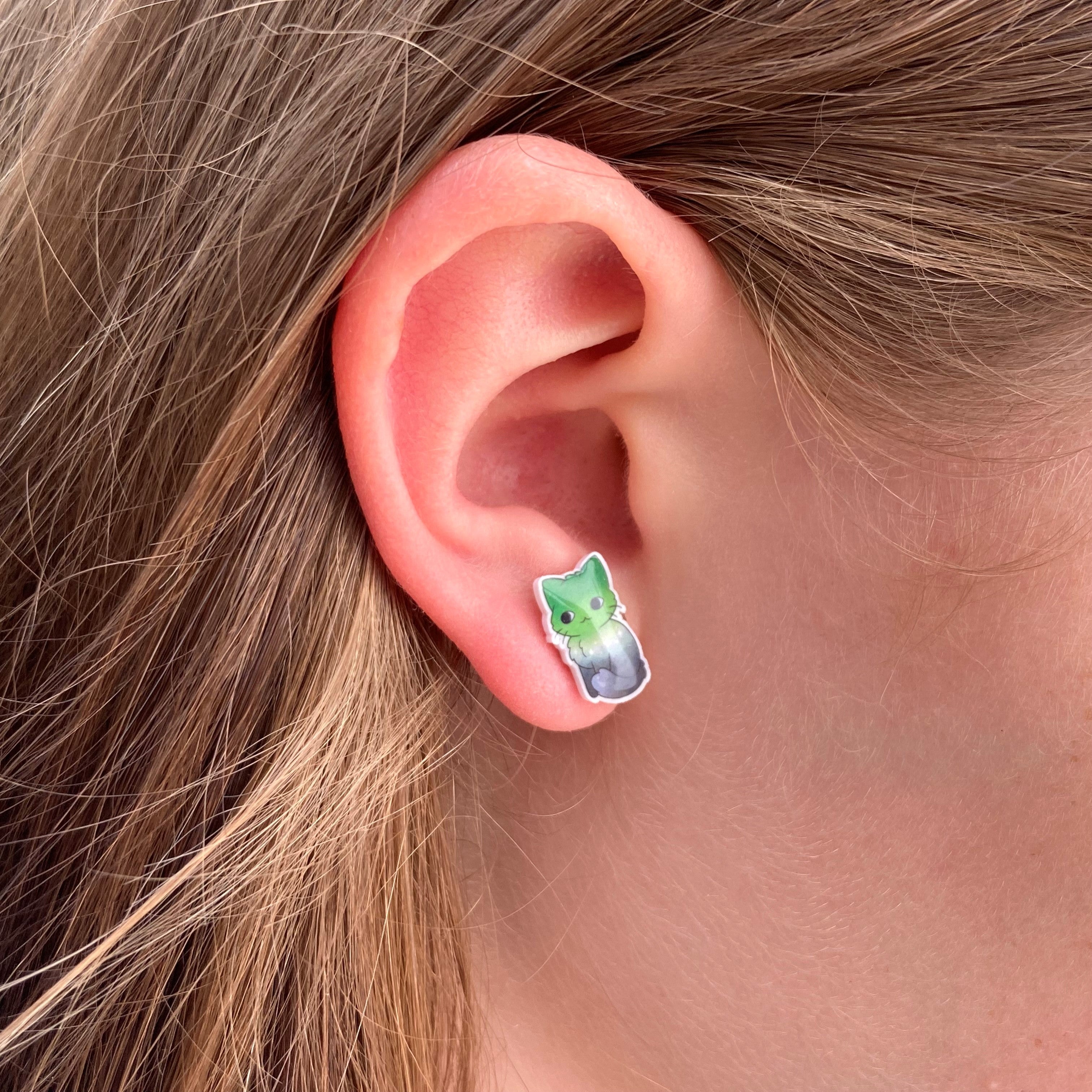 lgbt cat earrings aromantic aro pride
