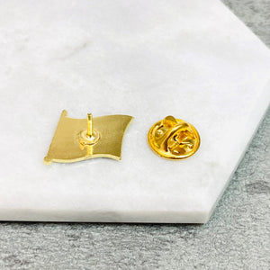 lgbt pride flag pins aroace back