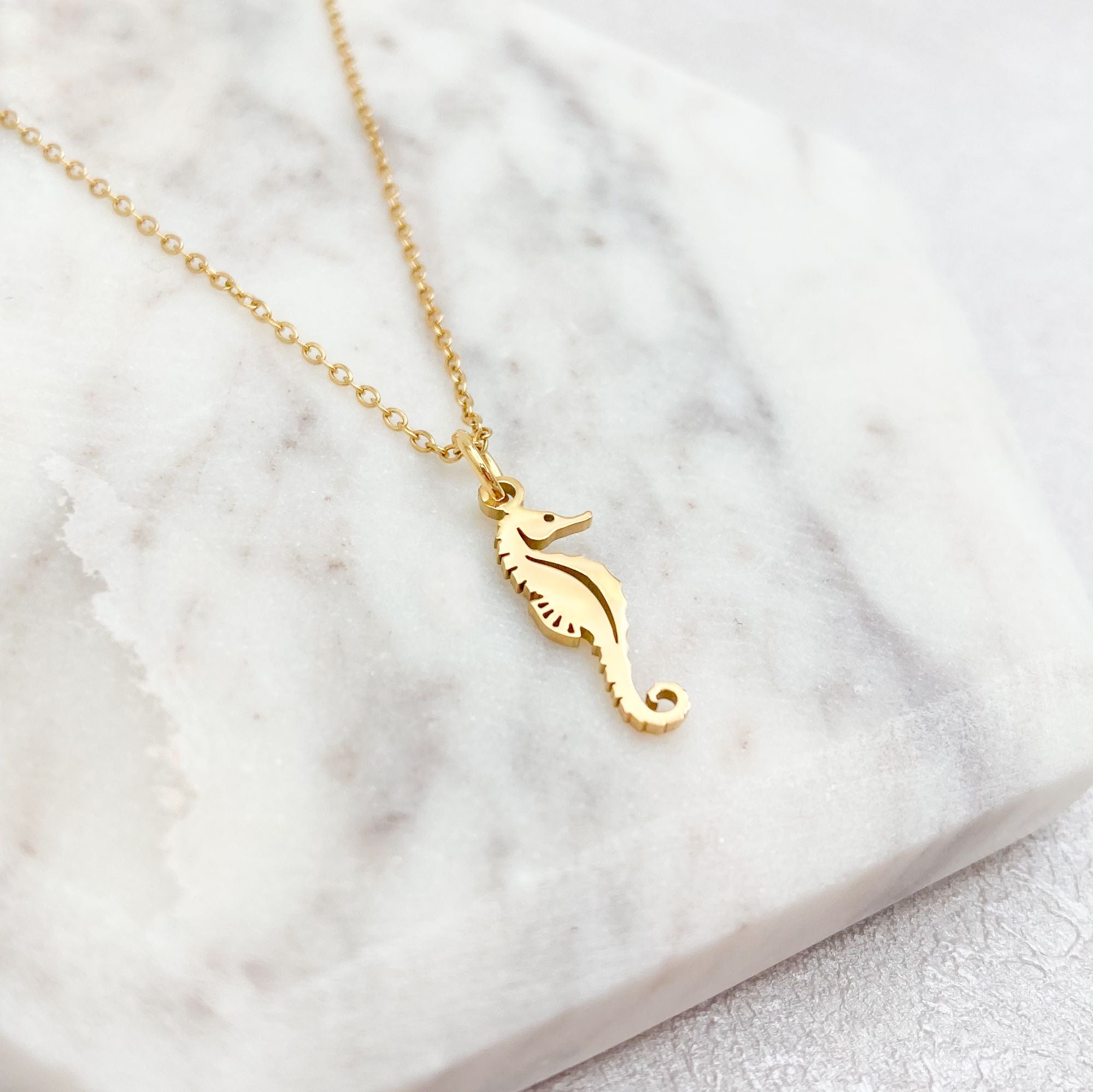 seahorse necklace for epilepsy charm present
